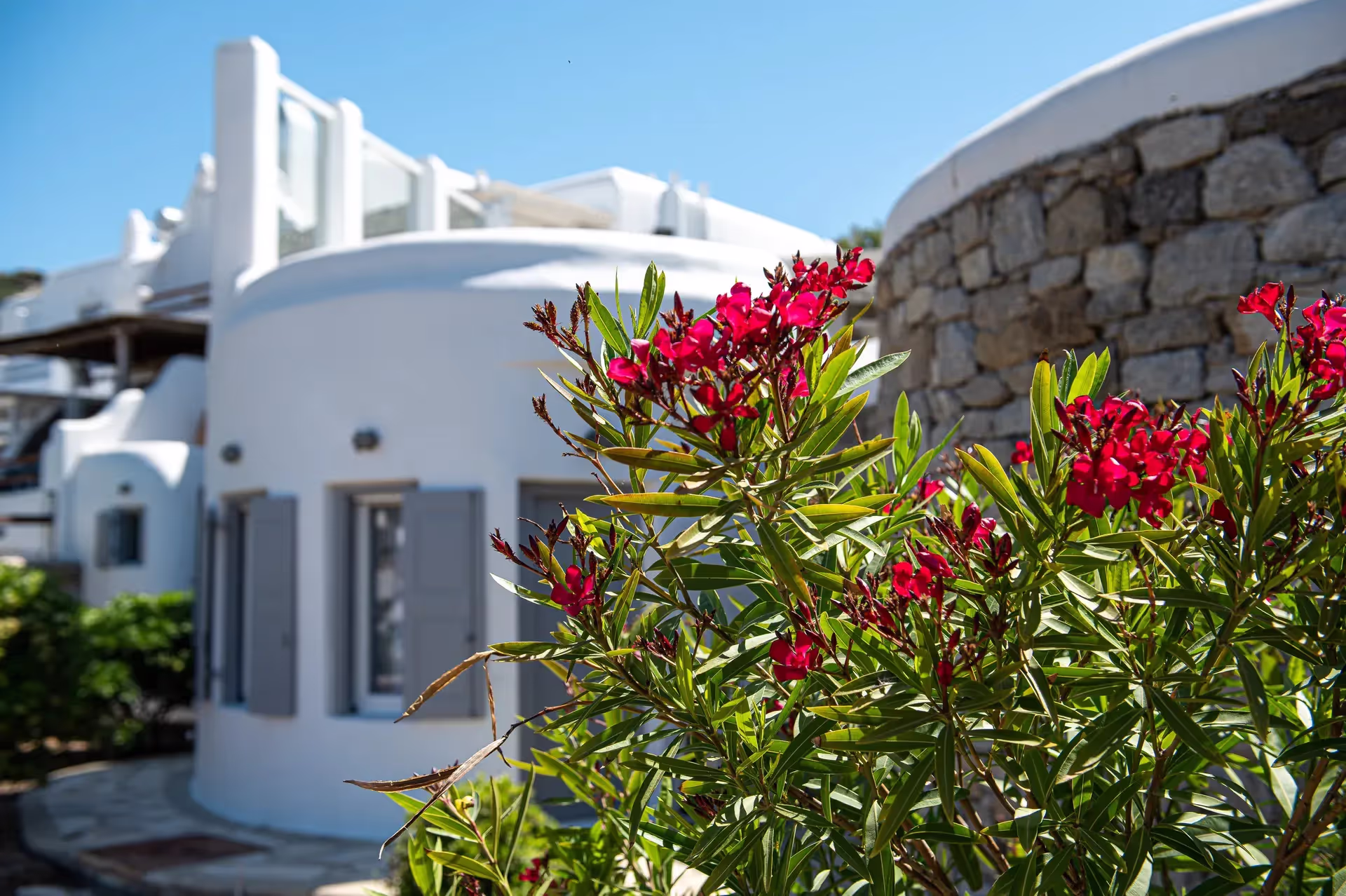 Villa Elisa